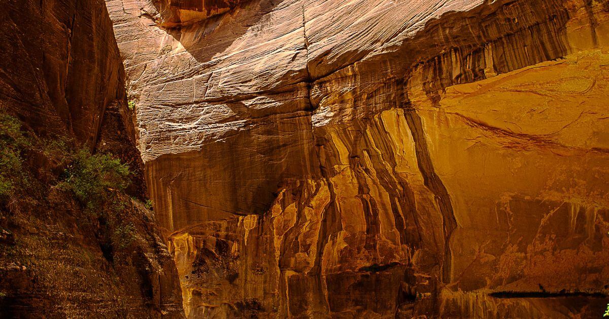 A 1.5 million deal will keep Utah’s Zion Narrows open to hikers forever