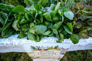 (Francisco Kjolseth | The Salt Lake Tribune) Assorted greens from R&A Hydroponics in West Jordan are on display as the Downtown Farmers Market holds a press event at Pioneer Park on Tuesday, May 31, 2022, to announce the kick off of their 31st season on Saturday, June 4, 2022.