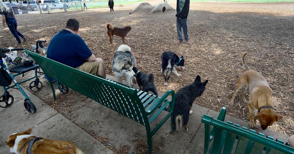 Public invited to weigh in on offleash dog parks in Salt Lake County