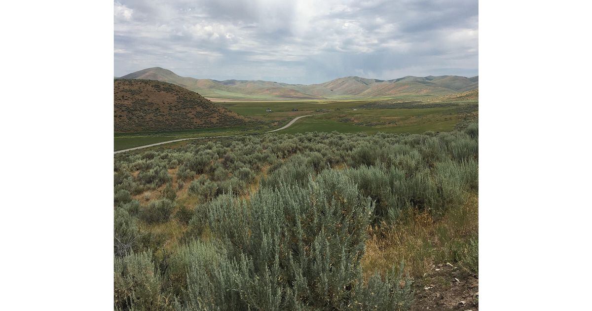 Negara bagian melihat lembah Utah utara untuk menyimpan air Sungai Beruang