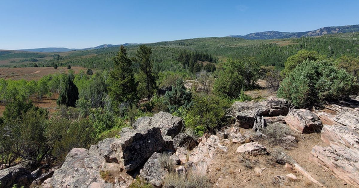 Divisi Satwa Liar Utah membeli properti seluas 8.000 hektar, menandai penjualan terbesar dalam sejarah SITLA