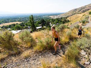 (Rick Egan | The Salt Lake Tribune)  Mira Petersen, and Kaitlyn Kunz hike on Tuesday, Aug. 2, 2022 along one of many social trails that break off of the Grandeur Peak Face Trail, which starts at the north end of Wasatch Boulevard.  A connector trail between that trailhead and the Pipeline Trail in Mill Creek Canyon is slated to be completed by the end of the year. It has been in the works for more than 20 years and will create 10 continuous miles of Bonneville Shoreline Trail.
