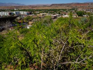 (Trent Nelson  |  The Salt Lake Tribune) The view of St. George from Temple Springs Nature Park on Thursday, June 10, 2021.