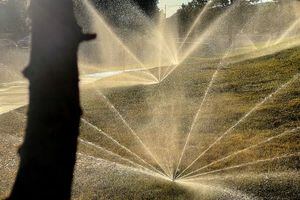 (Trent Nelson  |  The Salt Lake Tribune) Spinning sprinkler in Salt Lake City on Tuesday, June 29, 2021.