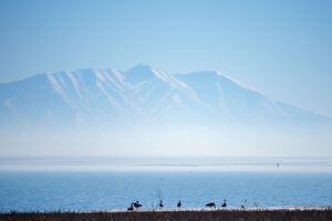 (Trent Nelson  |  The Salt Lake Tribune) Utah Lake, seen from Saratoga Springs on Tuesday, March 1, 2022. Utah is expected to reach close to record-high temperatures this week.