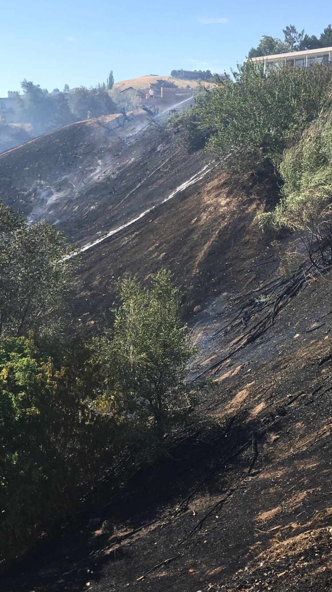 (James Semerad | For The Tribune) An afternoon fire threatened homes on Salt Lake City's Ensign Peak near the Utah Capitol on Tuesday, July 24, 2018.
