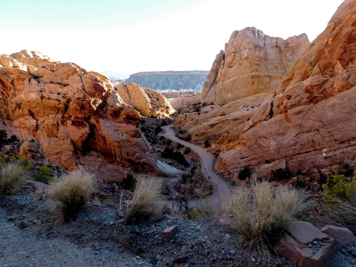 Erin Alberty  |  The Salt Lake TribuneThe Burr Trail enters the rocky maze of the Waterpocket Fold on Oct. 5, 2015 in Capitol Reef National Park.