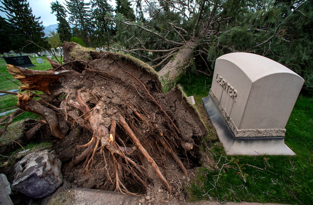 (Rick Egan  |  The Salt Lake Tribune)    Hundreds of headstones in the Salt Lake City Cemetery were damages in the recent wind storm, Friday, Sept. 18, 2020.
