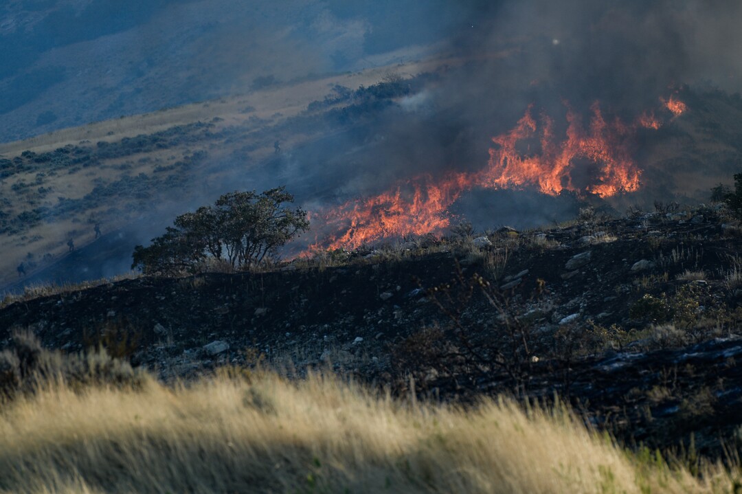 (Francisco Kjolseth  |  The Salt Lake Tribune)  Fire crews battle a fire in Davis County in Utah on the East Bountiful bench that grew to 150 acres early Friday morning, Aug. 30, 2019, and destroyed three homes. On Sept. 2, officials said the fire was 100% contained.
