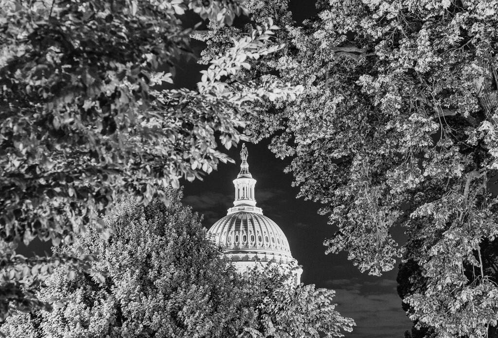 (Damon Winter | The New York Times)
The U.S. Capitol building in Washington, on Monday, July 1, 2019. "Any plan bold enough to effectively address climate change seems unlikely to survive the American political system. And any bill that can survive our politics may not make enough of a dent on the climate," writes New York Times opinion columnist Farhad Manjoo.