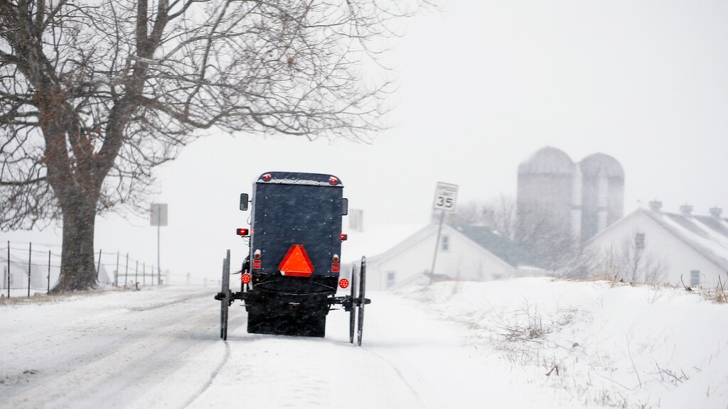 (Jim Gerberich | AP) An Amish buggy traverses the backroads of Lancaster County, Pa., in 2021. A new podcast revisits the 1985 film "Witness," based in an Amish community.