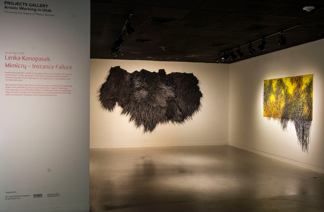 (Rick Egan  |  The Salt Lake Tribune)   The Lenka Konopasek: mimicry - Instance Failure exhibit at The Utah Museum of Contemporary Art, Thursday, June 27, 2019.