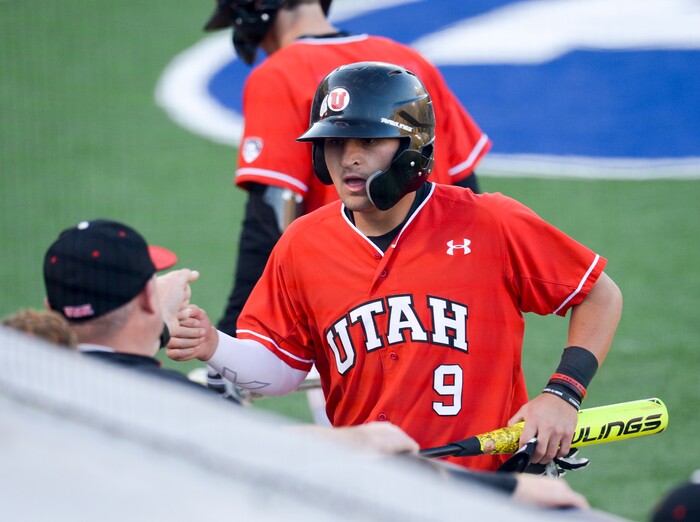 (Leah Hogsten  |  The Salt Lake Tribune) Rykker Tom returns to the dugout as Brigham Young University hosts University of Utah at Miller Park, Tuesday, April 24, 2018 in Provo.