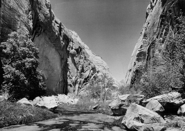 (Al Hartmann | Tribune file photo) Lower Death Hollow is photographed February 12, 1986.