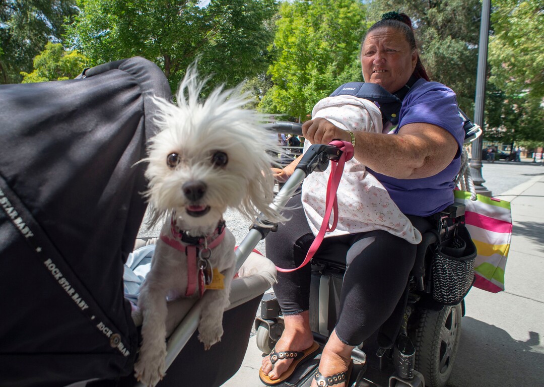 (Rick Egan  |  The Salt Lake Tribune)   Dotty Antonio wheels her dog Carmela to Liberty park to get doggie treats and food from the Sunday Street Dawg Crew, a group that  gives out food, treats, leashes and things fort pets of homeless people. Sunday, July 7, 2019.