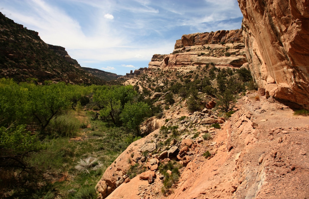 (Leah Hogsten  |  The Salt Lake Tribune)  Arch Canyon, pictured here in 2010, was in Bears Ears National Monument.