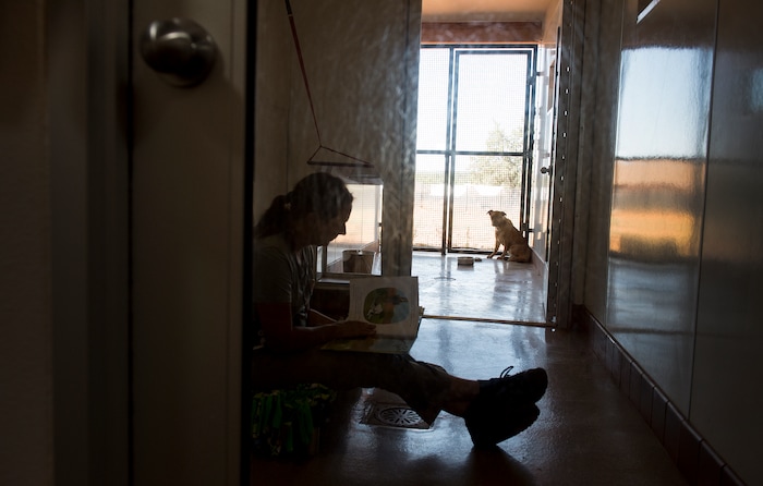 Leah Hogsten  |  The Salt Lake Tribune
Newly arrived, semi-feral McDreamy, who was rescued from a dog hoarding situation, listens as volunteer Marlene Romano reads him a book. Dogs' collars are color-coded to inform staff and volunteers of a dog's disposition:Êred collar Ñ staff only; purple collar Ñ no one under the age of 18; green collar Ñ family friendly. McDreamy will receive lots of attention, care and training with the goal of adoption.

Best Friends is a coast-to-coast organization, withÊoffices in Los Angeles, New York, Atlanta and Salt Lake City, and partners with more than 1,800 other no-kill organizations. 