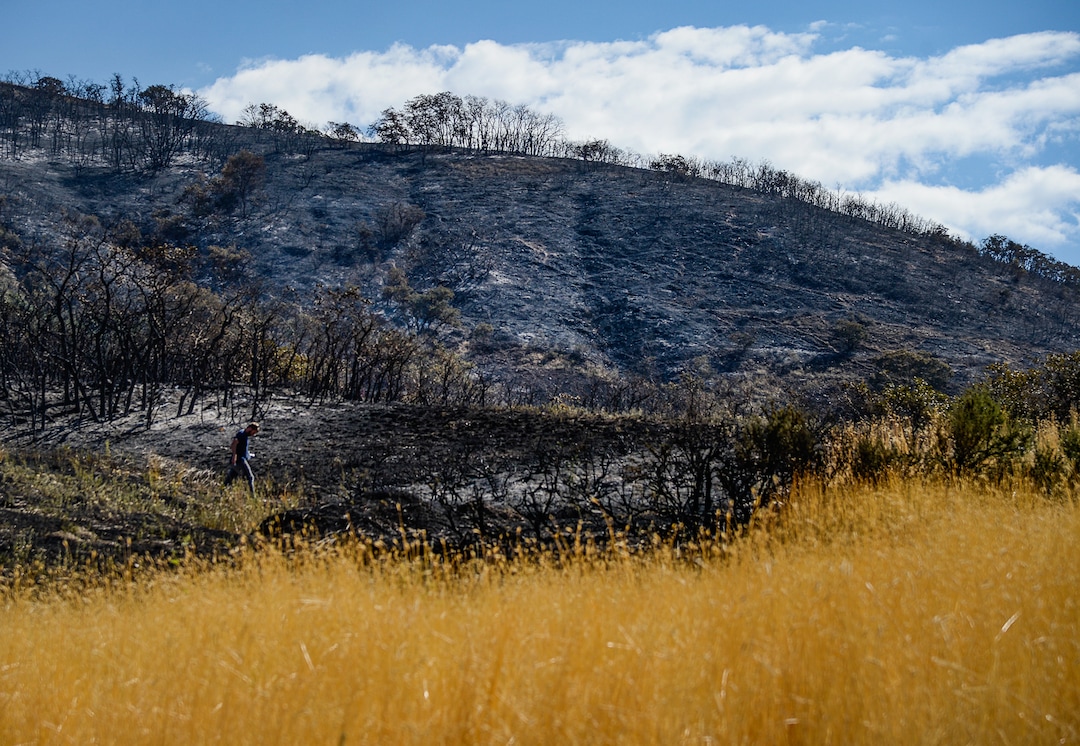 (Francisco Kjolseth  |  The Salt Lake Tribune)  Extreme dry conditions following by a wet spring that grew tall grasses contribute to the fire damage in Bountiful that destroyed three homes and damaged five more that began early Friday morning, Aug. 30, 2019.  On Sept. 2, officials said the fire was 100% contained.