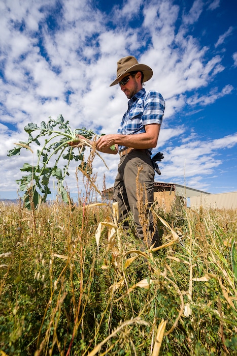 (Trent Nelson  |  The Salt Lake Tribune) Stan Jensen on his farm in Centerfield on Monday, Oct. 4, 2021.