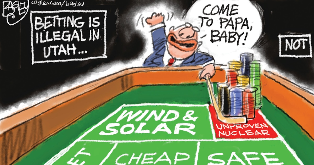 Bagley Cartoon: Risky Business
