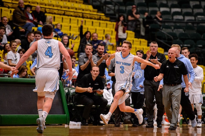 (Trent Nelson | The Salt Lake Tribune)  Payson vs. Sky View, 4A State high school basketball tournament at Utah Valley University in Orem, Thursday March 1, 2018. Sky View's Payton Lee (3) and Sky View's Koebe Wilson (4) react to an early lead.