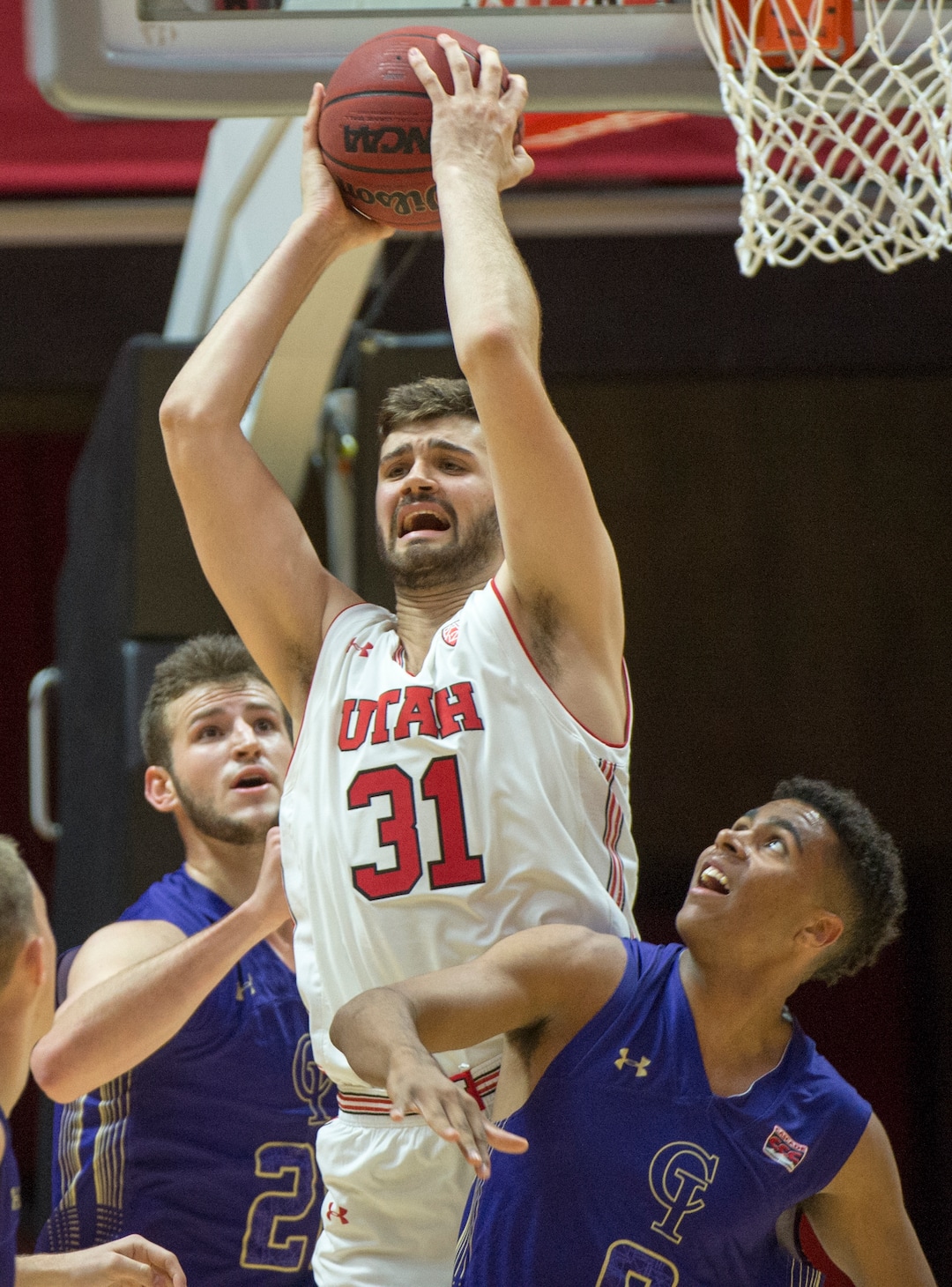 (Rick Egan  |  The Salt Lake Tribune)   Utah Utes center Brandon Morley (31) grabs a rebound for the Utes, in basketball action, between the Utah Utes and the College of Idaho Yotes at the Jon M. Huntsman Center, Thursday, Nov. 1, 2018.
