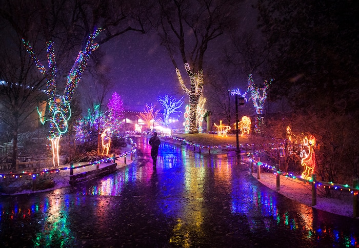 (Rick Egan  |  The Salt Lake Tribune)   The ZooLights at Hogle Zoo are turned on, Friday, Nov. 30, 2018. The lights continue  through December 31st, 


