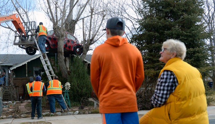 (Al Hartmann | The Salt Lake Tribune)
Clearfield public works personnel use a crane to remove Janis Zettel's gutted VW Beetle from a tree in her front yard Tuesday Feb. 13. She put it up a few months ago as an art installation. Now it has to come down. Zettel watches the operation with her grandson Fischer Grant from the street.