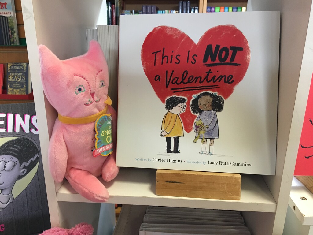 (Ann Cannon | Special to The Tribune) “This is Not a Valentine” by Carter Higgins, illustrated by Lucy Ruth Cummins