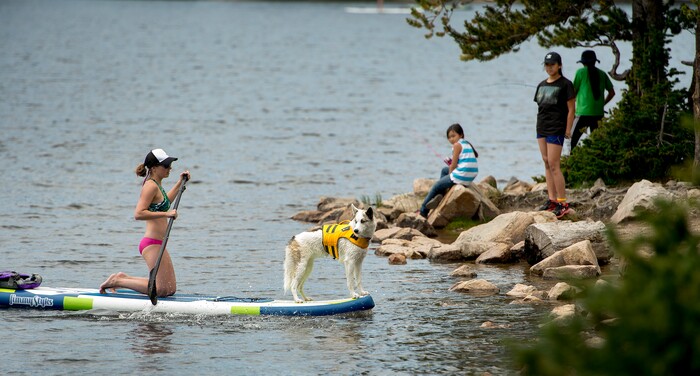 (Leah Hogsten  |  The Salt Lake Tribune)  Laura Green of Cottonwood Heights says she paddle boards Mirror Lake and surrounding lakes in the Uinta Mountains at least once a month with her dog Alta, Aug. 6, 2017.