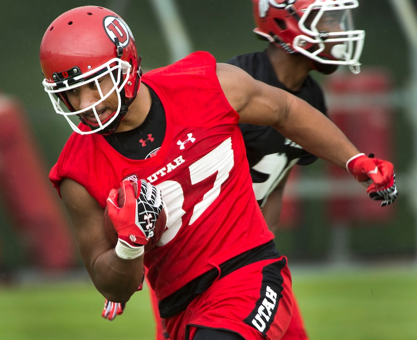 Steve Griffin  |  The Salt Lake Tribune
University of Utah tight end Siale Fakailoatonga tucks the ball and runs after catching a pass during second day of the teams fall camp in 2015.