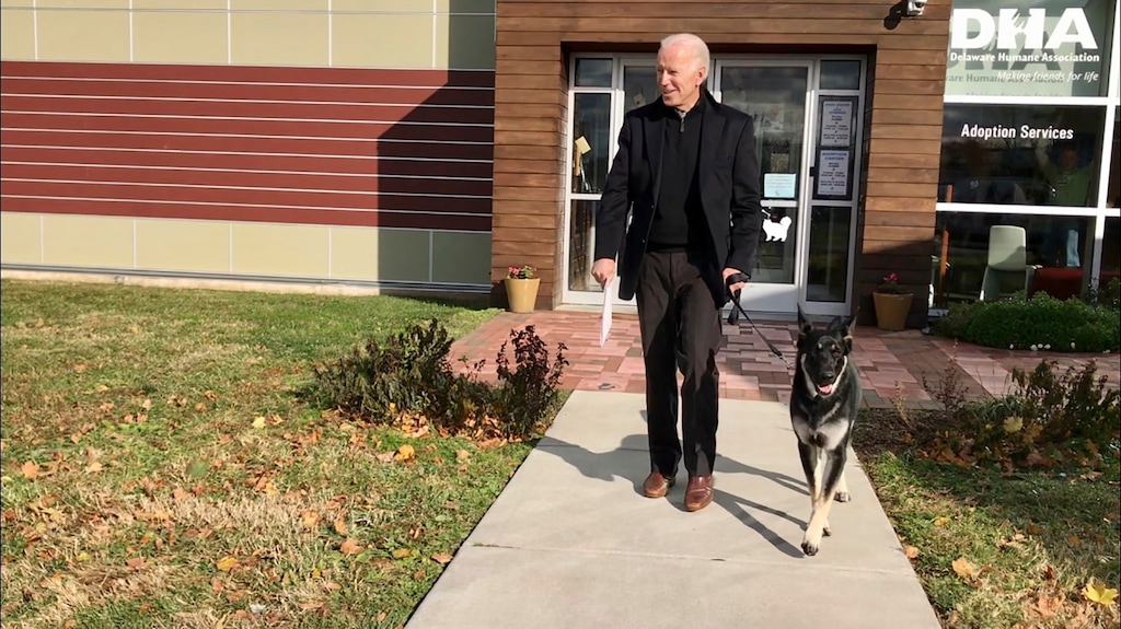 (Stephanie Carter | Delaware Humane Association via AP) This Nov. 16, 2018, file photo provided by the Delaware Humane Association shows Joe Biden and his newly-adopted German shepherd Major, in Wilmington, Del. President-elect Biden will likely wear a walking boot for the next several weeks as he recovers from breaking his right foot while playing with his dog Major on Saturday, Nov. 28, 2020, his doctor said.