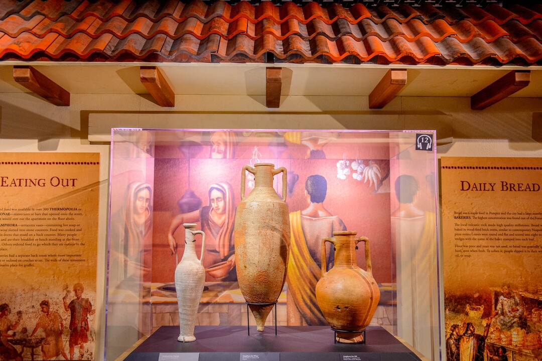 (Trent Nelson  |  The Salt Lake Tribune) Preview of the Pompeii exhibition opening Saturday, Nov. 23, at the Leonardo., in Salt Lake City on Thursday Nov. 21, 2019.