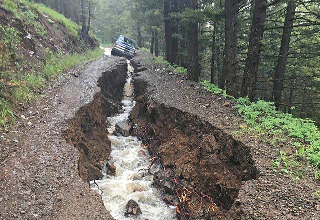 Old logging road, national forest, Montana. (Photo courtesy Greg Munther)