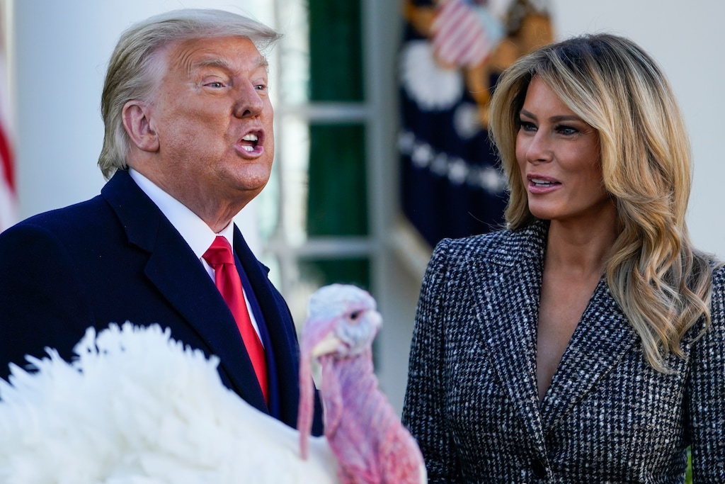 (Susan Walsh | AP) President Donald Trump speaks after pardoning Corn, the national Thanksgiving turkey, in the Rose Garden of the White House, Tuesday, Nov. 24, 2020, in Washington, as first lady Melania Trump watches.