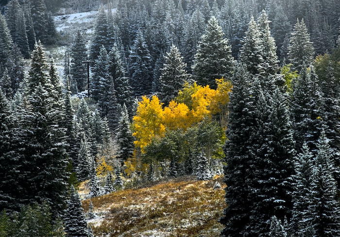 (Steve Griffin | The Salt Lake Tribune) A fall storm leaves a trace of snow in Little Cottonwood Canyon in Salt Lake City Friday September 22, 2017.