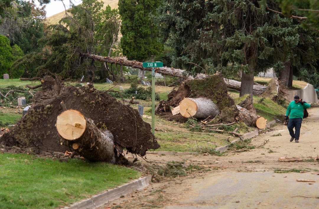 (Rick Egan  |  The Salt Lake Tribune)    Hundreds of headstones in the Salt Lake City Cemetery were damages in the recent wind storm, Friday, Sept. 18, 2020.