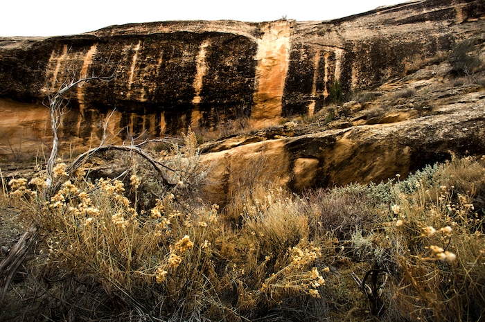 Rick Egan | The Salt Lake Tribune
The Butler Wash, where Mary Benally spent a year of her childhood east of Comb Ridge in Bears Ears National Monument. Thursday, January 12, 2017.