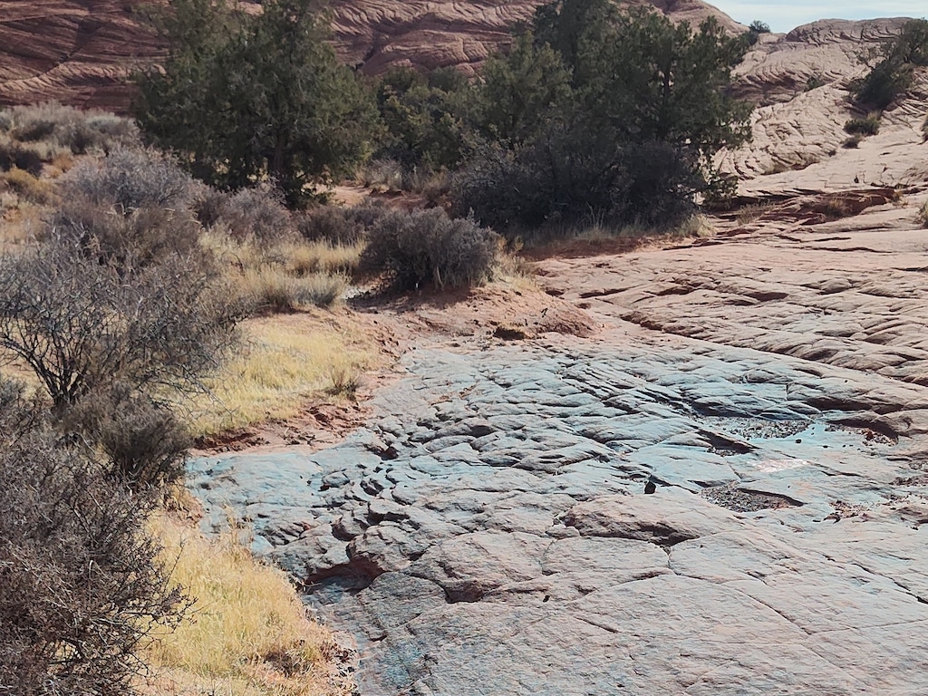 (Hunter Belcher) Blue dye from a powder canyon stains some of the petrified Navajo sandstone at Snow Canyon State Park near St. George in late December 2024. Trail technician Hunter Belcher spent five hours, and 24 gallons of water, cleaning up the vandalism.