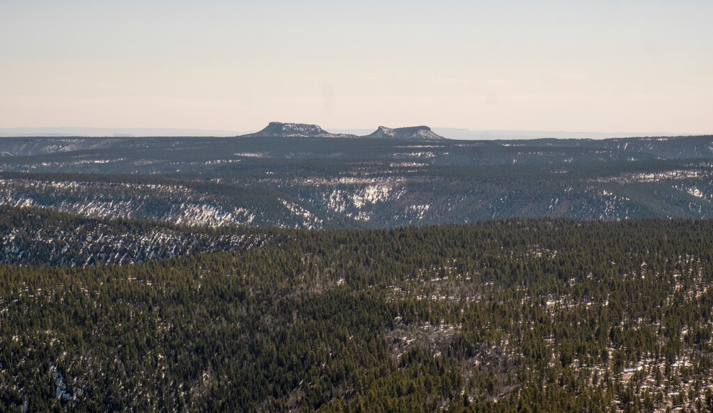 (Leah Hogsten | The Salt Lake Tribune)   The Bears Ears buttes April 10, 2021. 