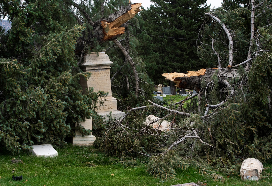(Rick Egan  |  The Salt Lake Tribune)    Hundreds of headstones in the Salt Lake City Cemetery were damages in the recent wind storm, Friday, Sept. 18, 2020.
