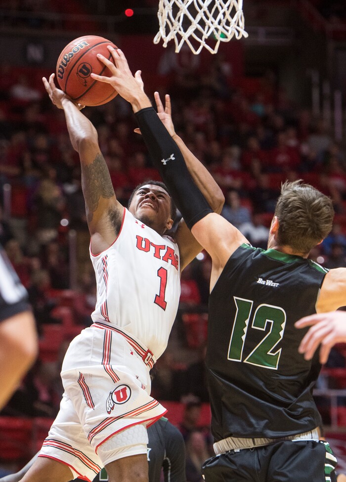 (Rick Egan  |  The Salt Lake Tribune)  Hawaii Warriors forward Jack Purchase (12) blocks a shot by Utah Utes guard Justin Bibbins (1),in basketball action, Utah Utes vs Hawaii Warriors, at the Jon M. Huntsman Center, Saturday, December 2, 2017.