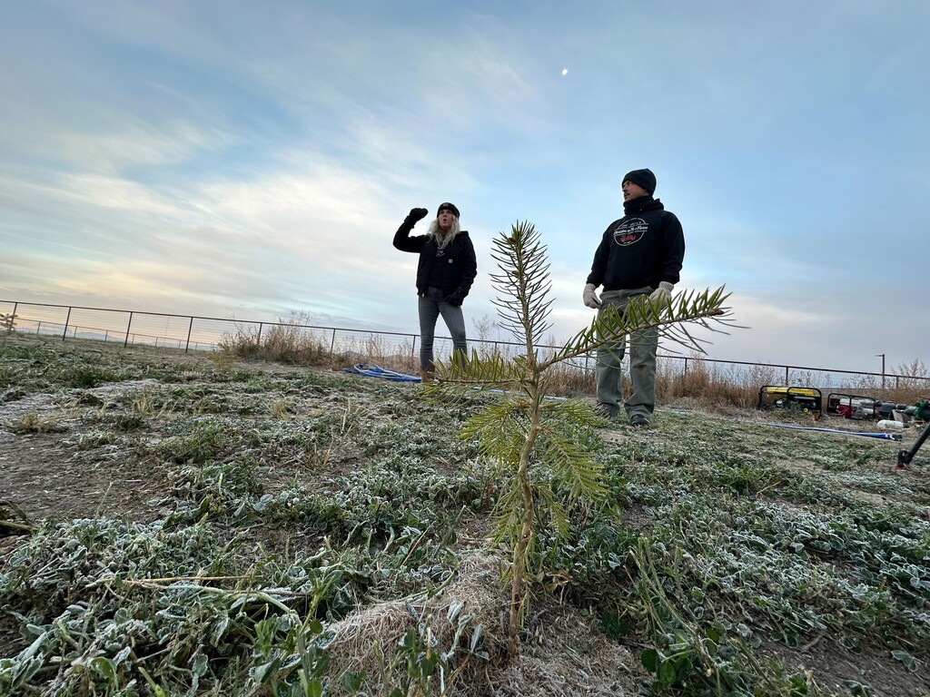 (Ben Winslow | FOX 13) Bryan and Jaemye Brandon, the owners of Once Upon a Christmas Tree Farm, on their property near Tremonton. The couple used a $90,000 agriculture optimization grant offered by the state to purchase a new water tank for their drip irrigation system as they convert their farm from growing alfalfa to Christmas trees.