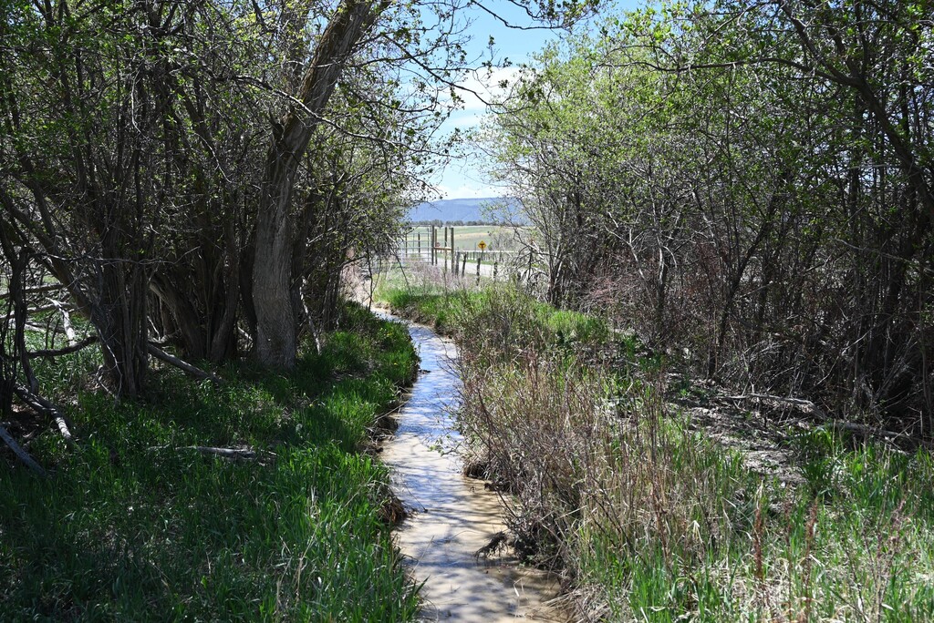 (Emily Sinclair | via Writers on the Range)

Saddle Mountain Ditch, Crawford County, Colorado, May 2022