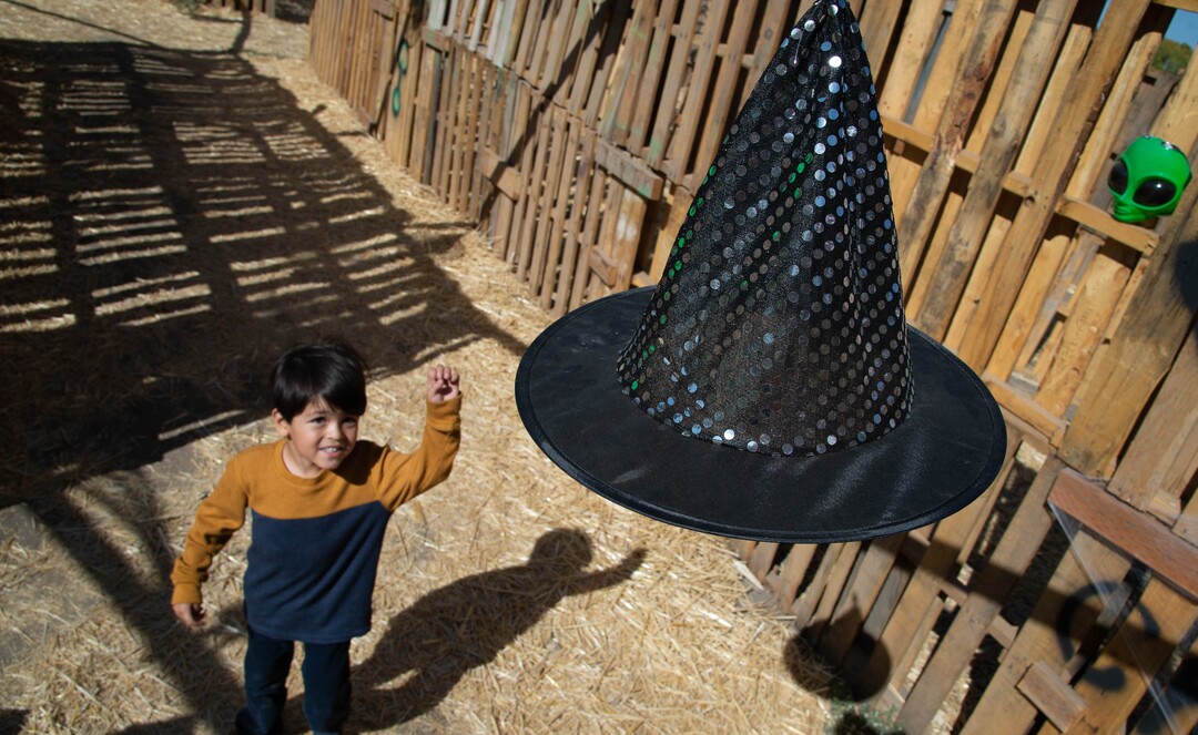 (Francisco Kjolseth  |  The Salt Lake Tribune) Wheeler Farm's annual Pumpkin Days celebration is underway, as people enjoy the "Family-Friendly Not-so-Scary Halloween,” with a hay maze, pumpkin patch, children's train and games on Saturday, Oct. 10, 2020.
