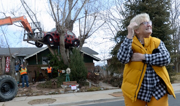 (Al Hartmann | The Salt Lake Tribune)
Clearfield public works personnel use a crane to remove Janis Zettel's gutted VW Beetle from a tree in her front yard Tuesday Feb. 13. She put it up a few months ago as an art installation. Now it has to come down.