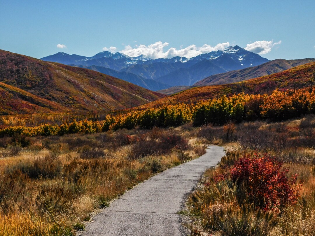 (Erin Alberty|The Salt Lake Tribune) Maples, oak, aspen and sumac line the trail to Cascade Springs with fall color on Oct. 9, 2017 in Wasatch County.