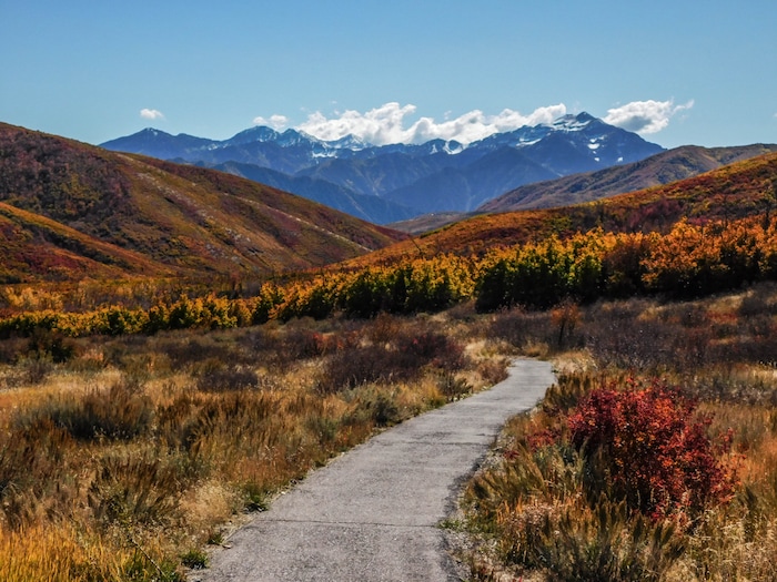 (Erin Alberty|The Salt Lake Tribune) Maples, oak, aspen and sumac line the trail to Cascade Springs with fall color on Oct. 9, 2017 in Wasatch County.