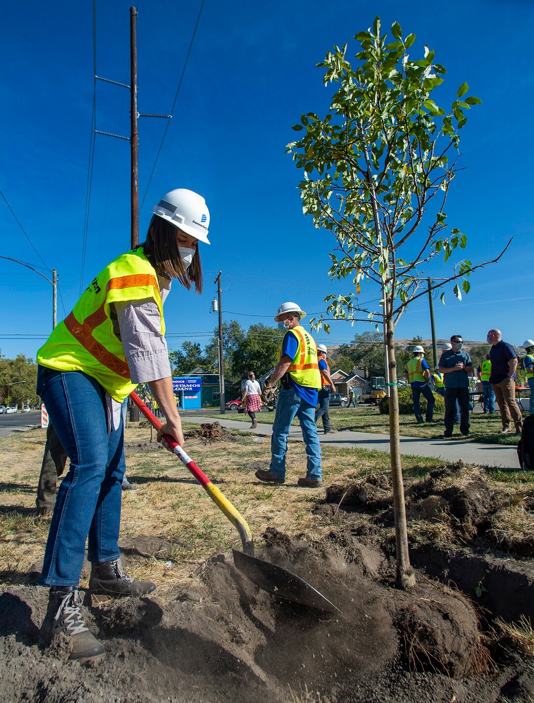 (Rick Egan  |  The Salt Lake Tribune)   Salt Lake City Mayor Erin Mendenhall plants a tree as she assists more than 100 volunteers from Dominion Energy to plant 205 trees in the Fairpark neighborhood, which is said to be single largest volunteer tree planting event in Salt Lake City, on Thursday, Oct. 1, 2020.