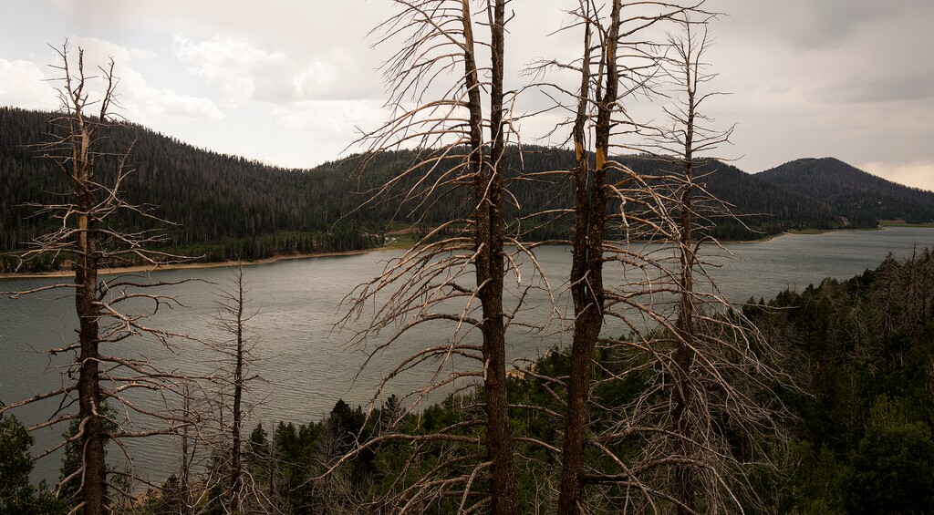 (Leah Hogsten | The Salt Lake Tribune) Navajo Lake, located in Kane County at an elevation of 9,250 feet, is fed by snowmelt and ground water through numerous springs and lava tubes on the Markagunt Plateau. Angling is the most popular activity at Navajo Lake in the summer with snowmobiling, ice fishing and snowshoeing in winter.
